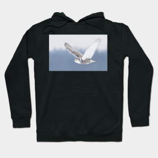 Snowy Owl Hoodie